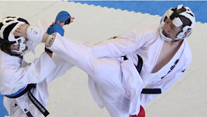 karate banner.jpg